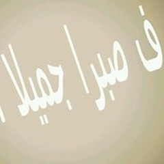 Dina Elgohary