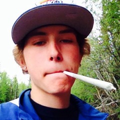 Dfena420