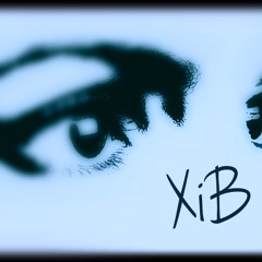 XiBmusic