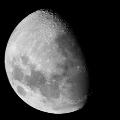 Evan William Castillo1978