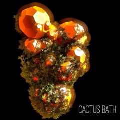 Cactus Bath