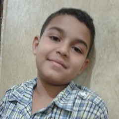 user147274229