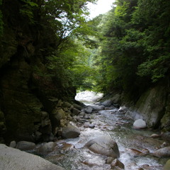 Freestream