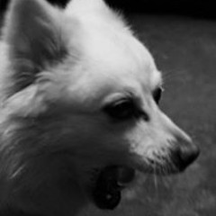 Renz Nickson Agustin