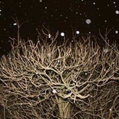 B Leanne Wynne-Rogerson