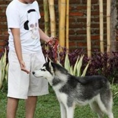 Indra Isradi Pratama