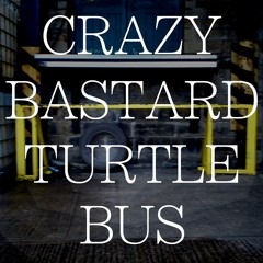 Crazy Bastard Turtle Bus