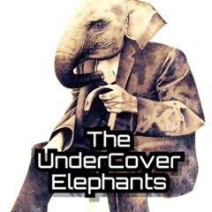 The UnderCover Elephants
