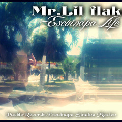 Mr.Lilflako