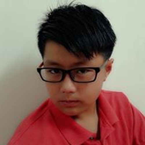 Xiiao Hong 9’s avatar