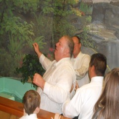 The Body of Christ