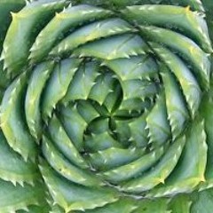 María Esperanza Plaza