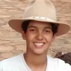 Henrique C. Veiga Brito