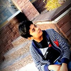 Hussain Malik 11