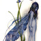Bluebell