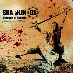 ShaolinDS