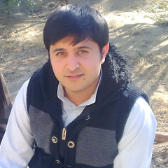 umairafridi