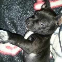 Lupree Greatness Jackson