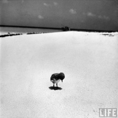 Håvard Margido Aspen