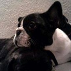 Jose Luis Albarron Porcel