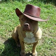 Milt Midknight Wallace