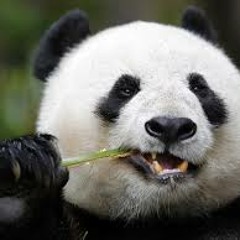 Boom Clap I'm In Me Mum's Car Song REMIX Long