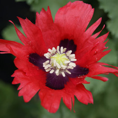 Ashley KnowYourWorld