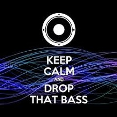 EDM Producer Spotlights