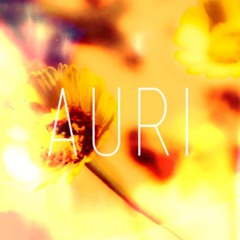 the_auri