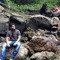 mohit mandewalker