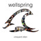 wellspring music