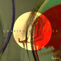 chasing owls