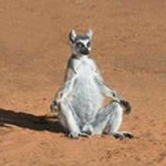 anadin_extra