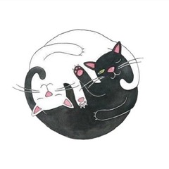 nummeow
