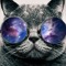 SixtyMeows