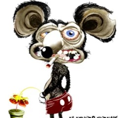 Bootia Rompetangaas 69