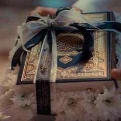 Asmaa Shaeir
