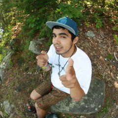 Joebinesque