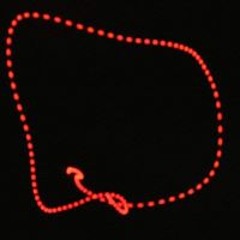 Carl Allen Washington