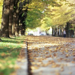 للإعلان والتسويق