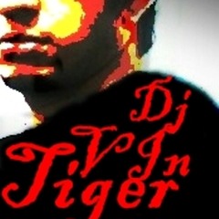 DjVinTiger