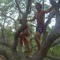 Renan Samed