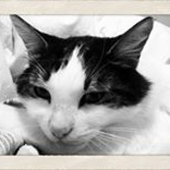 Rebekka Joanne Malster