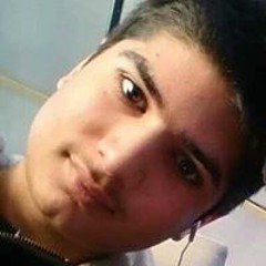 Navid Kamalzadeh