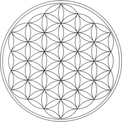 hope springs eternal