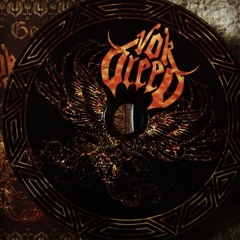 Vorbleed