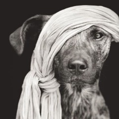 ISINHA（＾◇＾）