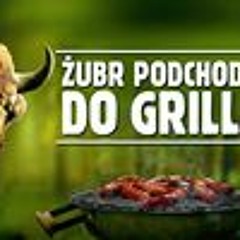 Żubr Podchodzi Do Grilla