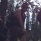 Brandon C. Schaffer