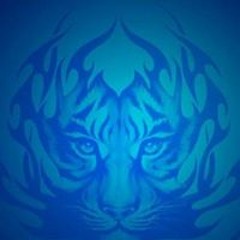 Harsimran Singh Gill 3